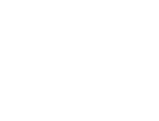 C.A.T. audit s.r.o.